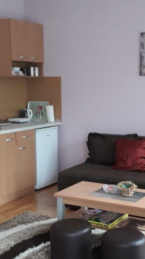 Apartmani V&F Vrnjačka Banja Eksteriør bilde